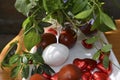 Easter eggs and blooming periwinkle with a ladybird on a leaf Royalty Free Stock Photo