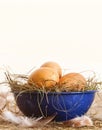Pasqua uova ciotola paglia 