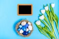 Easter eggs of blue flowers in a nest of straw, a chalk board and a bouquet of white tulips on a blue background, copy space, flat Royalty Free Stock Photo