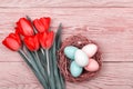 Easter Eggs in a birds nest with colorful tulips Royalty Free Stock Photo