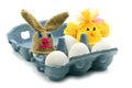 Easter Eggs box with crochet egg cup tops in chicken and easter Royalty Free Stock Photo