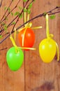 Easter eggs on a branch