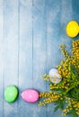 Easter eggs with branch mimosa spring yellow Royalty Free Stock Photo