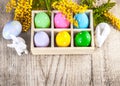 Easter eggs branch mimosa and white rabbit Royalty Free Stock Photo