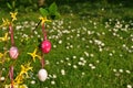 Easter eggs on branchlet in garden