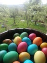 Easter eggs with bright colors