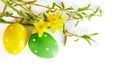 Easter eggs with bunch spring flowers narcissus Royalty Free Stock Photo