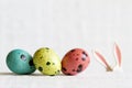 Easter eggs and bunny ears abstract background Royalty Free Stock Photo