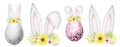 Easter eggs with Bunny ears and floral crown set isolated Watercolor illustration on white background. Hand painted Royalty Free Stock Photo