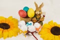 Easter eggs Royalty Free Stock Photo