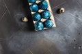 Easter eggs in cardboard packaging painted by hand in blue color Royalty Free Stock Photo