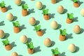 Easter eggs and carrots pattern background.