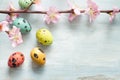 Easter eggs and cherry blossom retro blue background Royalty Free Stock Photo