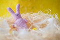 Easter, eggs, chicken eggs, colored eggs, hay, white eggs, Easter, holiday, toy hare, pink, peas, Easter rabbit