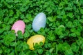 Easter eggs in clover