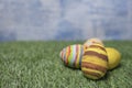 Easter eggs colored on grass wide view or side view