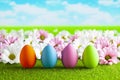 Easter eggs and colorful flowers on the grass and blue sky background Royalty Free Stock Photo