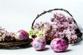 Easter eggs and colorful lilac flowers