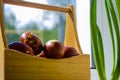 Easter eggs are coloured by the ancient onion husk method with various natural patterns in box by window in sunshine on beige