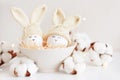 Easter eggs in crochet knitted hats with rabbit ears in nest. Easter celebration concept Royalty Free Stock Photo