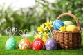 Easter eggs with cute bunny ears, near wicker basket and flowers on grass Royalty Free Stock Photo