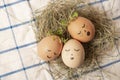 Easter eggs with cute face in green plant wreath. Sleepy easter eggs - Home crafts happy easter concept Royalty Free Stock Photo