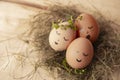 Easter eggs with cute face in green plant wreath. Sleepy easter eggs - Home crafts happy easter concept Royalty Free Stock Photo