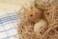 Easter eggs with cute face in green plant wreath. Sleepy easter eggs - Home crafts happy easter concept