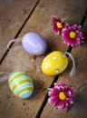 Easter eggs and daisies