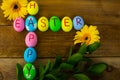 Easter eggs and daisy Royalty Free Stock Photo