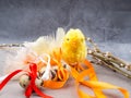 Easter eggs, yellow chicken toy, willow- the symbol of Easter Royalty Free Stock Photo