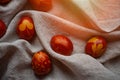 Easter Eggs Decorated with Natural Fresh Leaves and Boiled in Onions Peels on gray linen tablecloth in a wreath. Happy Easter conc