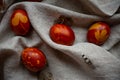 Easter Eggs Decorated with Natural Fresh Leaves and Boiled in Onions Peels on gray linen tablecloth in a wreath. Happy Easter conc Royalty Free Stock Photo