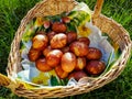 Easter Eggs Decorated with Natural Grass and Flower blossoms and Boiled in Onions Peels Royalty Free Stock Photo