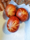 Easter Eggs Decorated with Natural Grass and Flowers and Boiled in Onions Peels Royalty Free Stock Photo