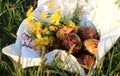 Easter Eggs Decorated with Natural plants and Flower blossoms and Boiled in Onions Peels in woven basket in green grass. Royalty Free Stock Photo