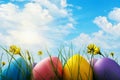 Easter eggs decorated with various flowers in the grass against the blue sky with clouds Royalty Free Stock Photo