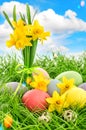 Easter eggs decoration and daffodils flowers. Blue sky with lens Royalty Free Stock Photo