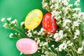 Easter eggs decoration white cutter flower on green background Royalty Free Stock Photo