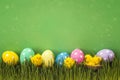 Easter eggs with decorative chicken in fresh grass on green back Royalty Free Stock Photo