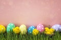 Easter eggs with decorative chicken in fresh green grass on pink Royalty Free Stock Photo