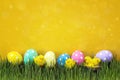 Easter eggs with decorative chicken in fresh green grass on yell Royalty Free Stock Photo