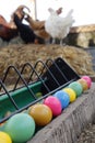 Henhouse. Chickens and Easter eggs.