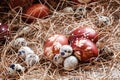 Easter eggs, dyed boiled onion skins with a pattern of herbs and Royalty Free Stock Photo