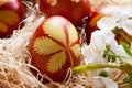 Easter eggs dyed with onion peels, with a pattern of fresh herbs Royalty Free Stock Photo