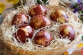 Easter eggs dyed with onion peels, with a pattern of fresh herbs Royalty Free Stock Photo