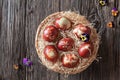 Easter eggs dyed with onion peels, with a pattern of fresh herbs Royalty Free Stock Photo