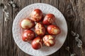 Easter eggs dyed with onion peels with a pattern of fresh herbs on a plate Royalty Free Stock Photo