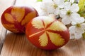 Easter eggs dyed with onion peels, with a pattern of herbs and p Royalty Free Stock Photo