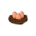 Easter Eggs. Easter Nest. Greeting card design. Bird nest. Vector.